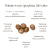 BIO Kawa z Shiitake Ra Hygge w ziarnach - ekologiczna, niskokwasowa z ekstraktem Shiitake (100g)